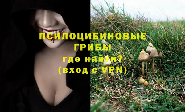 кокаин Ессентукская