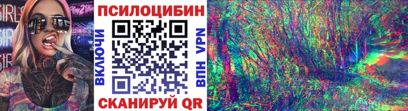 Купить где  Ельня  Галлюциногенные грибы мицелий 